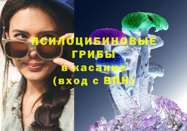 спиды Кодинск